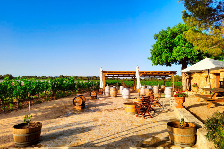 Bodegas Bordoy Bodegas Bordoy