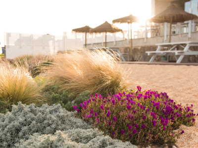 Bordoy Grand House Algarve